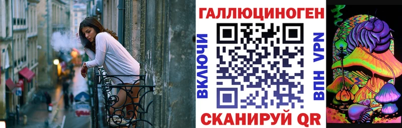 Галлюциногенные грибы Psilocybe Элиста